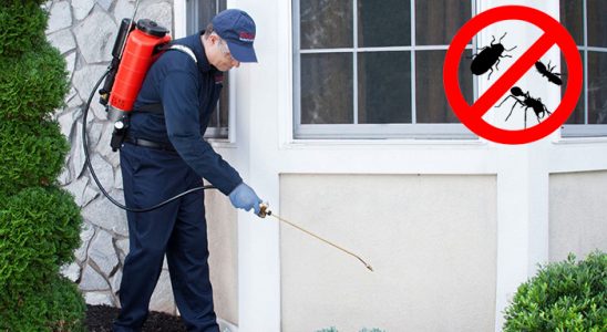 Eskişehir Akrep İlaçlama böcek ilaçlama ve haşere kontrolü — ilaclama-tr.com